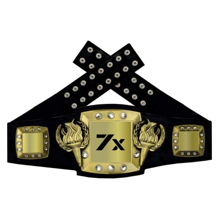 Boxing Championship Belt
